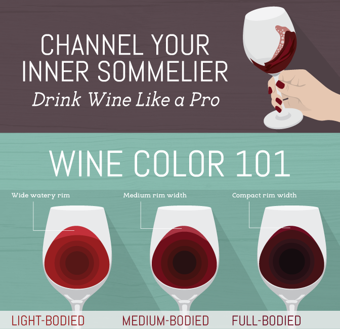 Drink Wine Like a Pro With This Guide Venngage Infographic