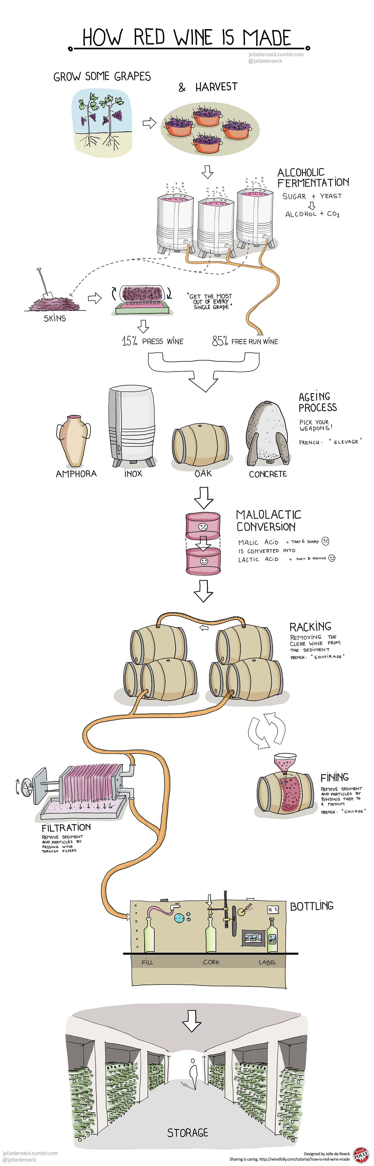 how is red wine made venngage infographic wine category chart