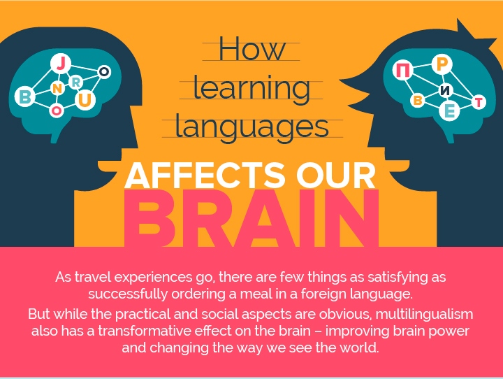 How Learning Languages Affects Our Brains - Venngage Infographic