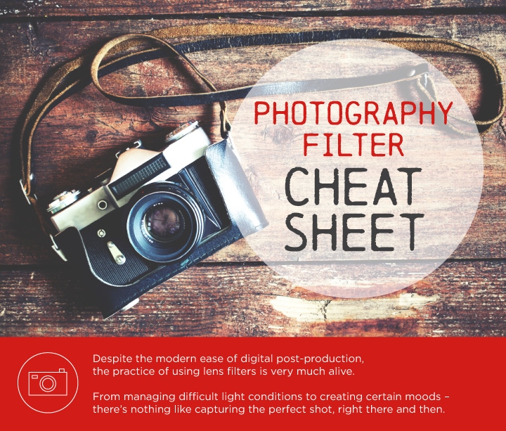 Photography Filters Cheat Sheet Venngage Infographic