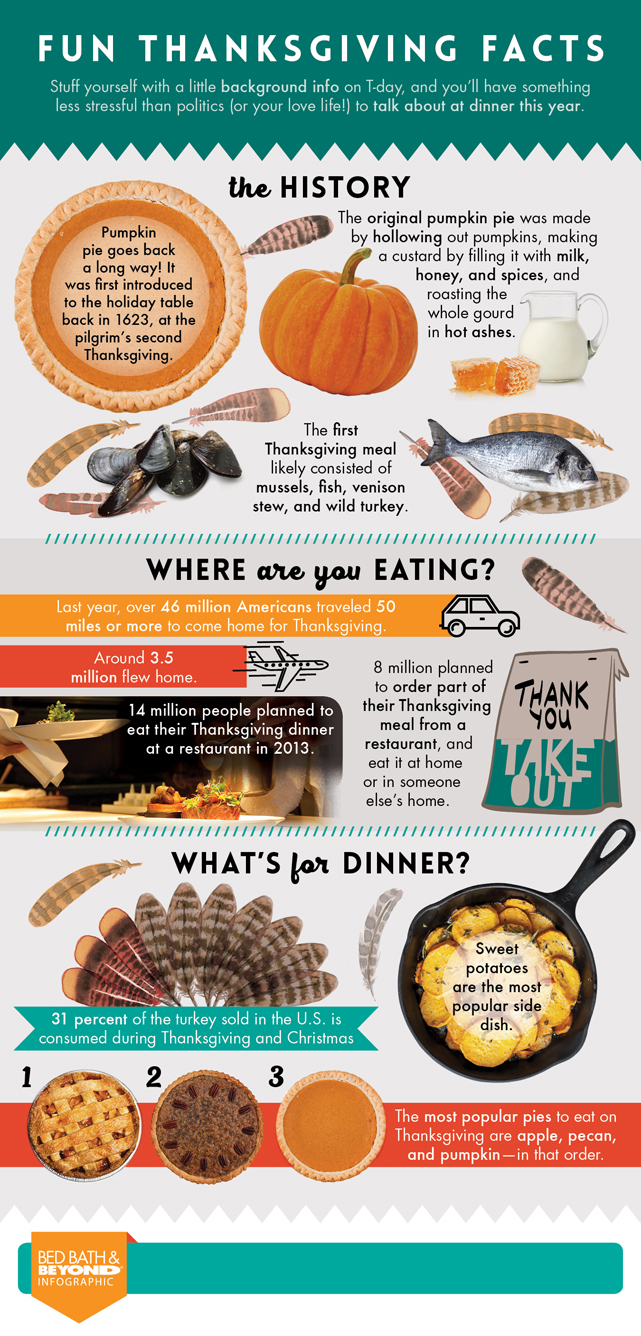 Thanksgiving Fun Facts Infographic – Thanksgiving Basics