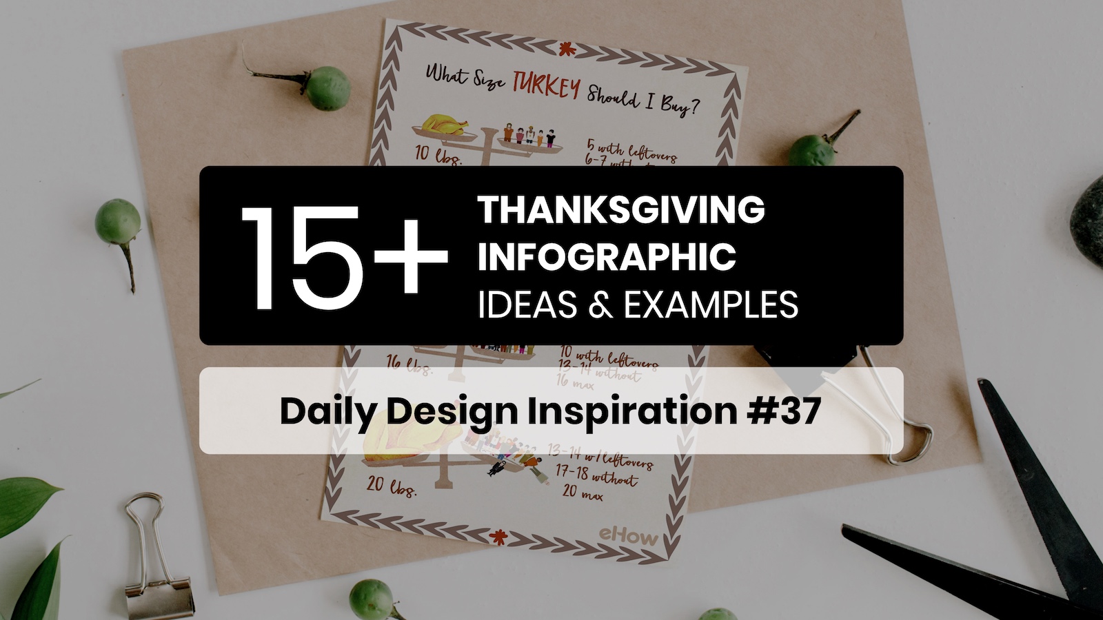 Thanksgiving Infographic Examples